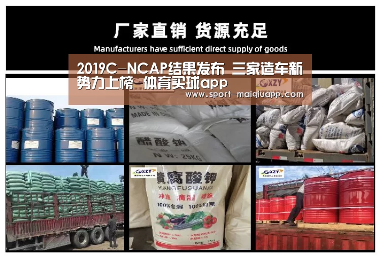 2019C-NCAP结果发布 三家造车新势力上榜-体育买球app(图4) 体育买球网页版